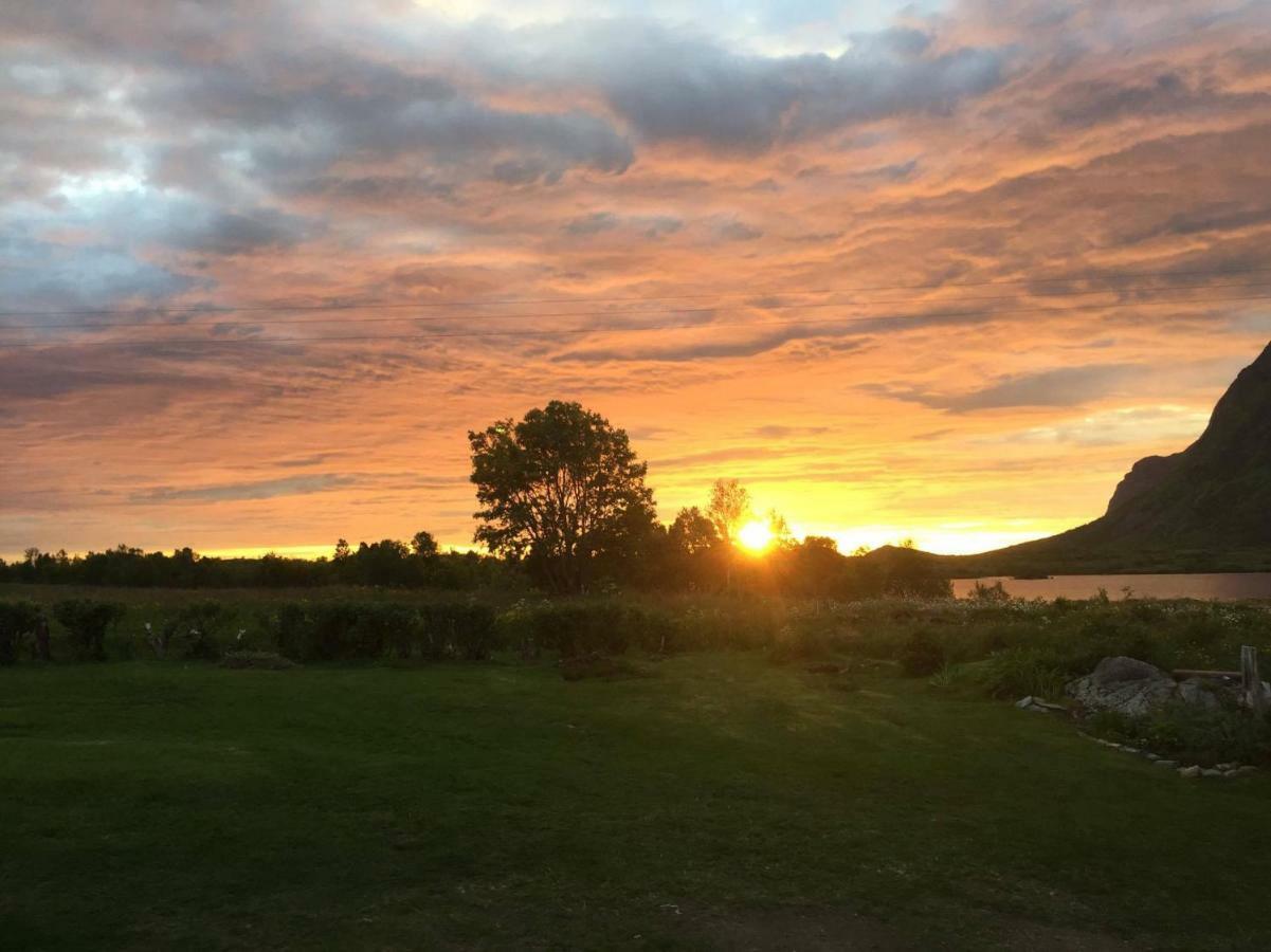 Elstad Farm Lofoten Bostad Esterno foto